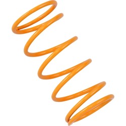 Primary Clutch Spring