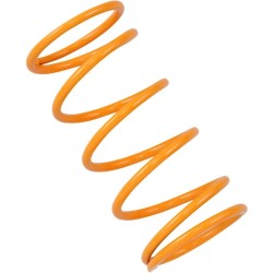 Primary Clutch Spring