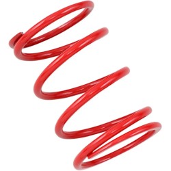 Primary Clutch Spring