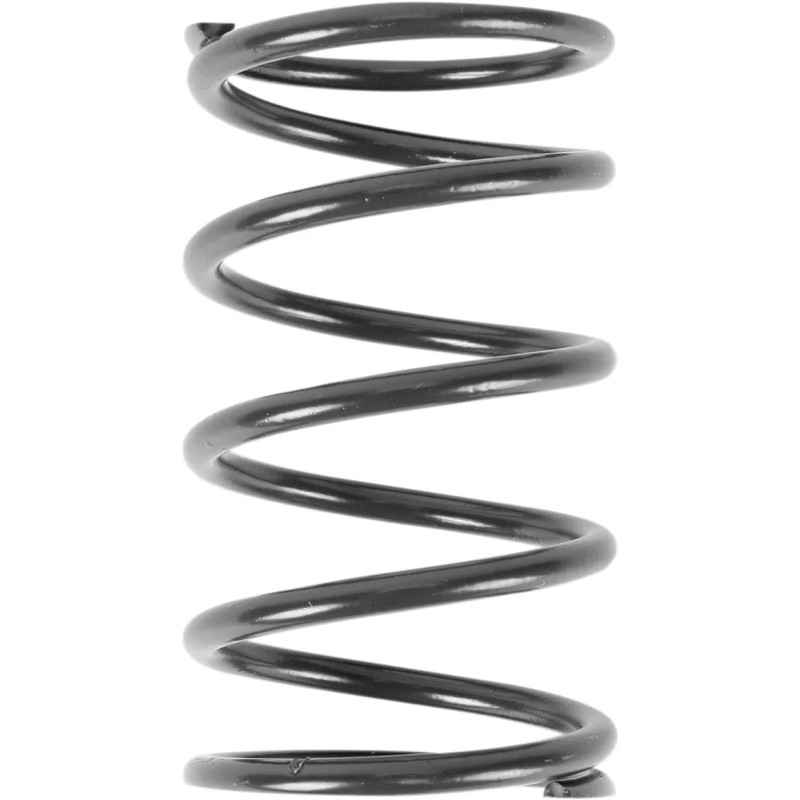 Primary Clutch Spring Polaris