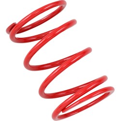 Primary Clutch Spring