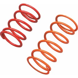 Primary Clutch Spring