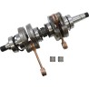 Crankshaft Assembly