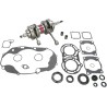 Crankshaft Kit