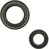 Crankshaft Seal Kit