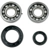 Crankshaft Bearing and Seal Kit
