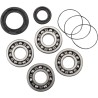 Main Crankshaft Bearing and Seal Kit