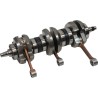 Crankshaft Assembly
