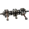 Crankshaft Assembly