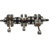 Crankshaft Assembly