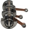 Crankshaft Assembly