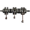 Crankshaft Assembly