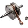 Crankshaft Assembly