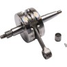 Crankshaft Assembly for 2 Stroke