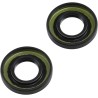 Crankshaft Oil Seal Kit