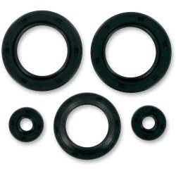 Motor Oil Seals