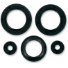 Motor Oil Seals