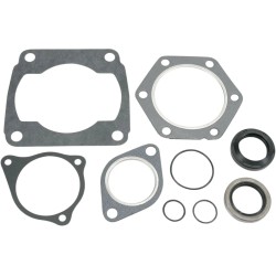 Complete Gasket and Oil Seal Kit