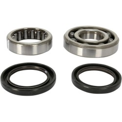 Crankshaft Bearing and Seal Kit