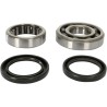 Crankshaft Bearing and Seal Kit