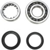 Crankshaft Bearing and Seal Kit