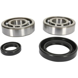 Crankshaft Bearing and Seal Kit
