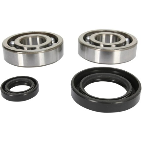 Crankshaft Bearing and Seal Kit