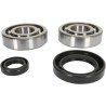 Crankshaft Bearing and Seal Kit