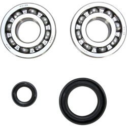 Crankshaft Bearing and Seal Kit