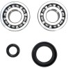 Crankshaft Bearing and Seal Kit