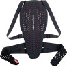 Nucleon Plasma Back Protector