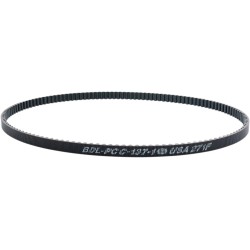 24 mm Rear Drive Belt
