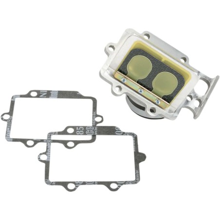 Ensemble cage à clapets Rad Valve