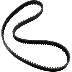 Rear Drive Belt