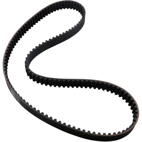 Rear Drive Belt