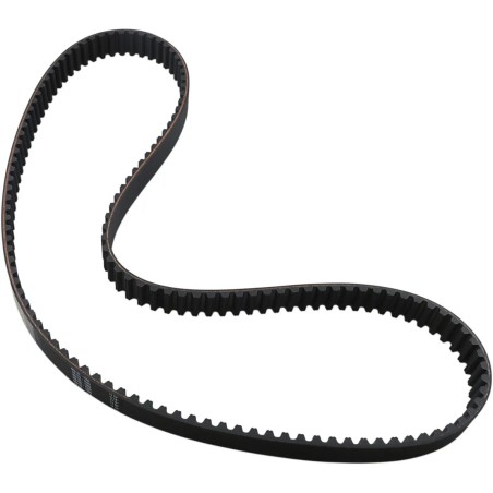 Rear Drive Belt
