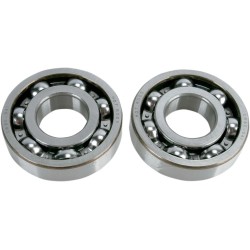 Main Crankshaft Bearing and Seal Kit