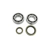 Crankshaft Bearing   Seal Kit