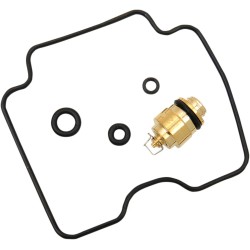 Carburetor Repair Kit