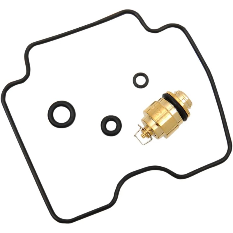 Carburetor Repair Kit
