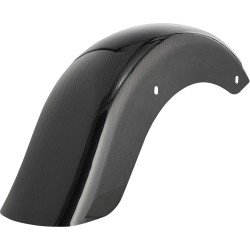 Custom Lighting Carbon Fiber Rear Fender