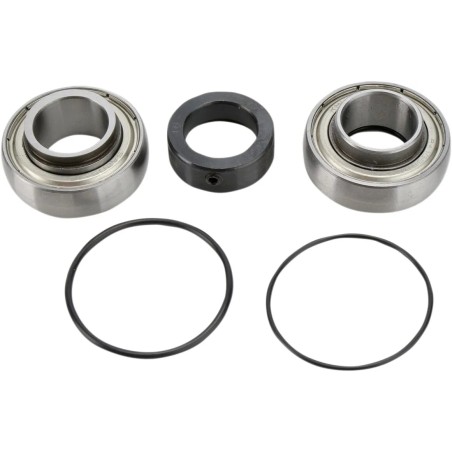 Chain Case Bearing and Seal Kit