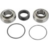Chain Case Bearing and Seal Kit