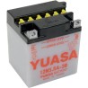 Conventional Battery