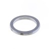 Exhaust Gasket