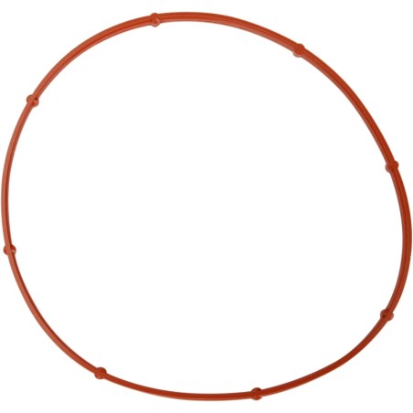 Derby Cover Gasket