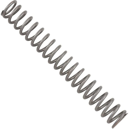 Front Fork Spring