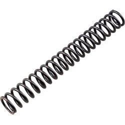 Front Fork Spring
