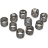 41 mm Damper Springs