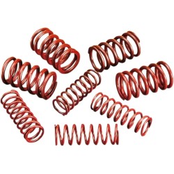 High-Lift Valve Spring Kit